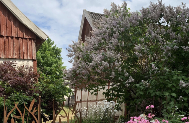 Skärmavbild-2023-08-15-kl.-12.14.08