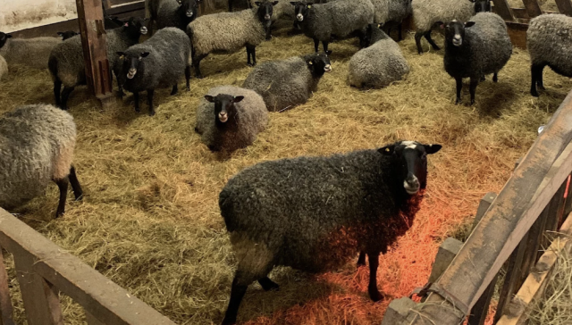 Skärmavbild-2023-08-15-kl.-13.51.01